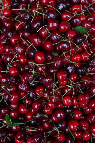 Kiraz arka plan. Pazar sayaçta tatlı organik kiraz