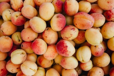 Kayısı meyve, olgun, yakın çekim dokulu.