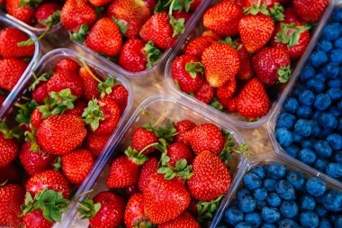 Çilek ve böğürtlen üstünde belgili tanımlık sayaç