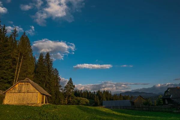 Sommar Landskap Bergen — Stockfoto