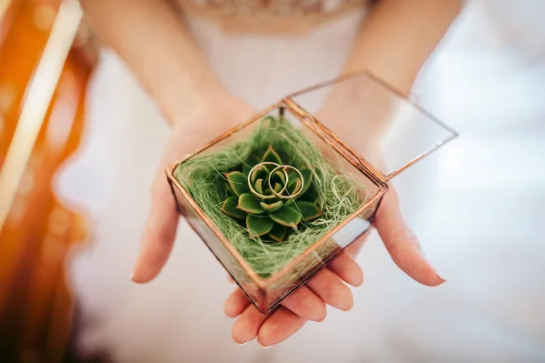 Bride Holds Glass Box Golden Rings Succulents — Stock Photo, Image