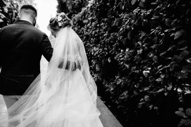 Çift birbirlerine sarılma bir parkta yürüyüş