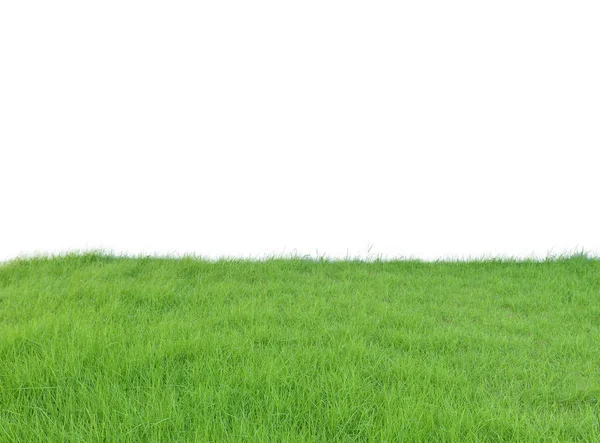 Grönskande grönt gräs fält isolerad på vit bakgrund, urklippsbana — Stockfoto