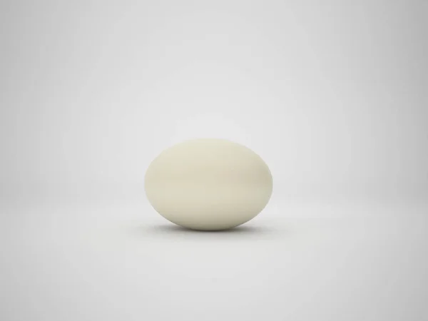 Яйцо изолировано на белом фоне, дизайн иллюстрации — стоковое фото