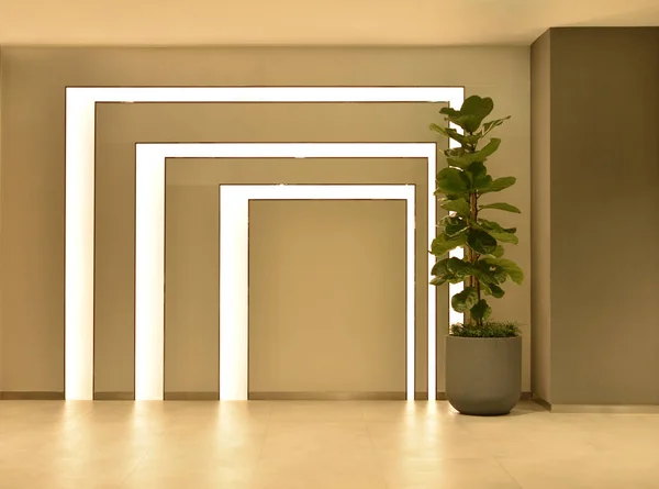 Leerer Raum mit Baumtopf und Lichtern, Inneneinrichtung — Stockfoto