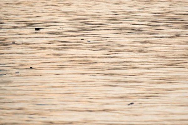 Wave water in Chao Phraya River, nature background — Stock Photo, Image