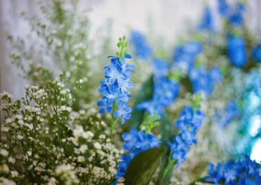 Beyaz dekoratif arka plan çiçekler, dalları, yaprakları