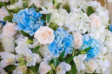 Beyaz dekoratif arka plan çiçekler, dalları, yaprakları arka plan