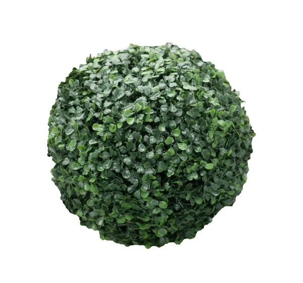 Beyaz arka plan resmi için izole yeşil bush Küre — Stok fotoğraf