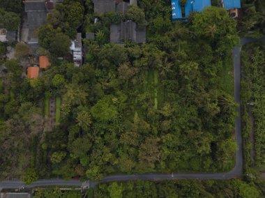 Orman evler uçuş, yemyeşil ağaçlar görünümünü top