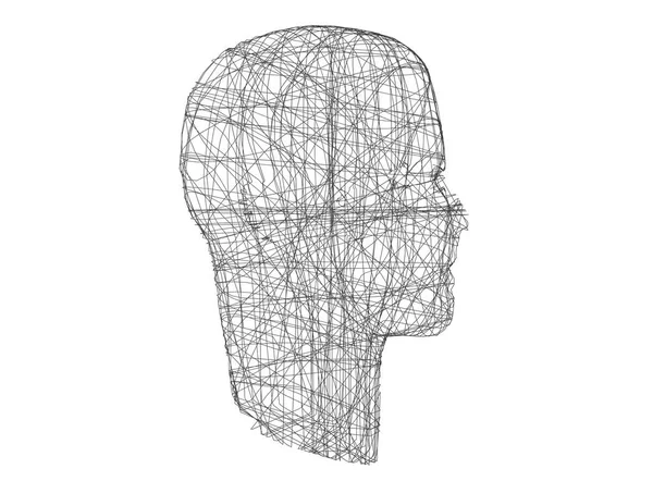 Human head. Wireframe model with connection lines on white, 3d