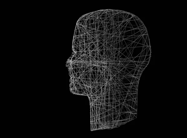 La tête humaine. Modèle Wireframe avec lignes de connexion sur noir, 3d — Photo