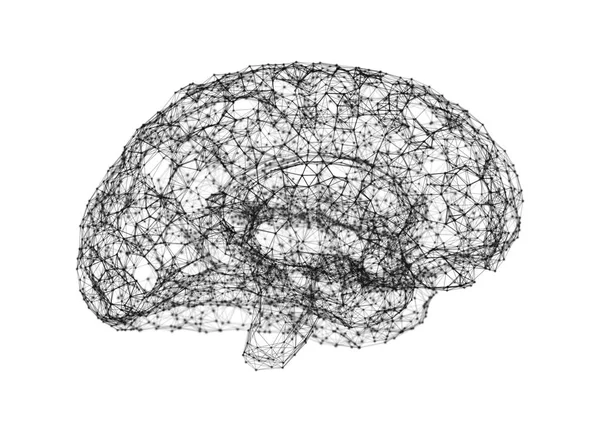 Ludzki mózg na białym tle w formie sztucznego — Zdjęcie stockowe