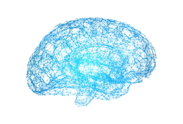 人工の形態の白い背景の上の人間の脳 — ストック写真