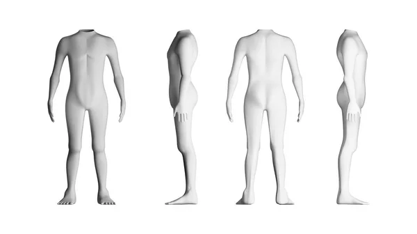 Mänskliga kroppar med ingen huvud. Modell på vit bakgrund. Konstgjorda — Stockfoto