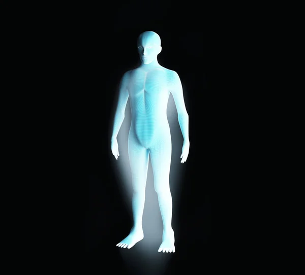 Anatomi av manliga muskelsystemet. Blå mänskliga wireframe hologram. — Stockfoto