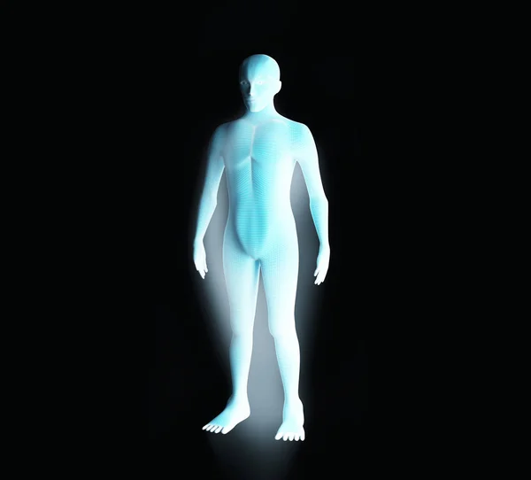 Anatomy of male muscular system. Blue human wireframe hologram. — Stock Photo, Image