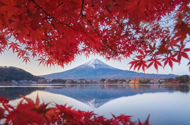 Mountain Fuji with red maple leaves or fall foliage in colorful  clipart