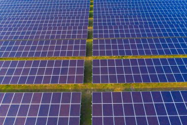 Çiftlikteki çatıdaki güneş panelleri veya güneş hücrelerinin hava görüntüsü. 