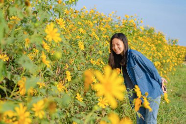 Mutlu Asyalı kadın portresi Tree Mari 'de eğleniyor ve dinleniyor.