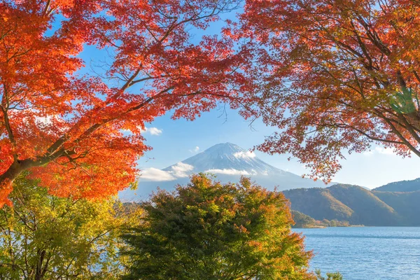 Fuji di montagna con foglie di acero rosso o fogliame autunnale in colorato — Foto Stock