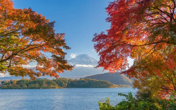 Fuji di montagna con foglie di acero rosso o fogliame autunnale in colorato — Foto Stock