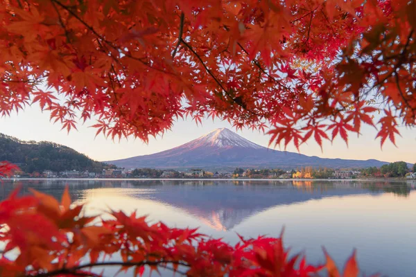 Fuji da montanha com folhas vermelhas do bordo ou folhagem da queda no colorido — Fotografia de Stock