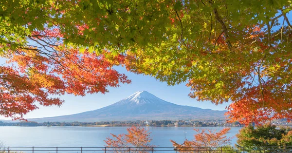 Mountain Fuji with red maple leaves or fall foliage in colorful