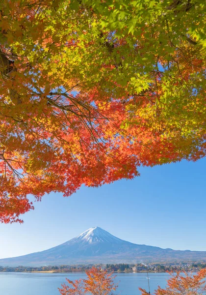 Montaña Fuji con hojas de arce rojo o follaje de otoño en colorido — Foto de Stock