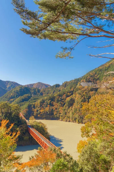 Вид с воздуха на паровоз, пересекающий Oigawa Railroad — стоковое фото