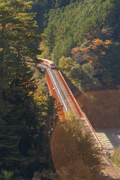 及川鉄道を横断する蒸気機関車の空中写真 — ストック写真