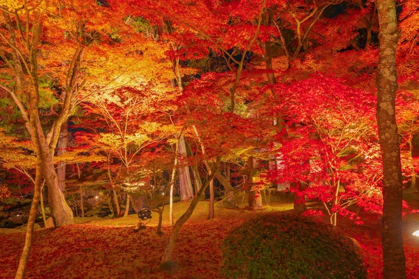 Загорается красный осенний лиственный туннель, картонный корригирующий, с илом — стоковое фото
