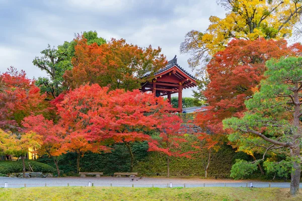Byodoin Temple Pagoda and lake with red maple leaves or fall fol