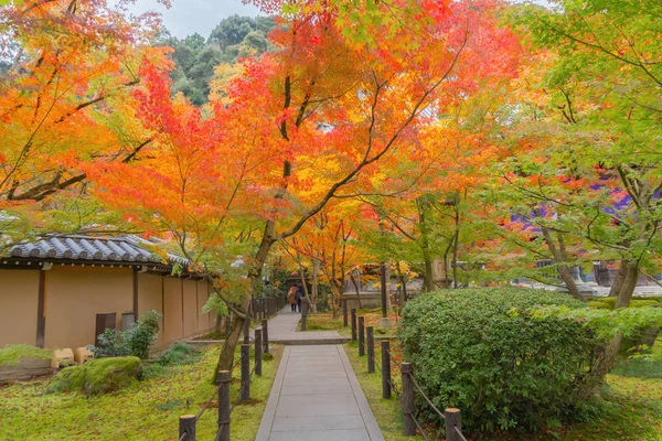 Eikando Zenrinji templom piros juharfalevél vagy őszi lombozat — Stock Fotó