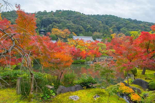Eikando Zenrinji Rozciągacz z czerwonymi liśćmi klonu lub liśćmi jesieni w — Zdjęcie stockowe