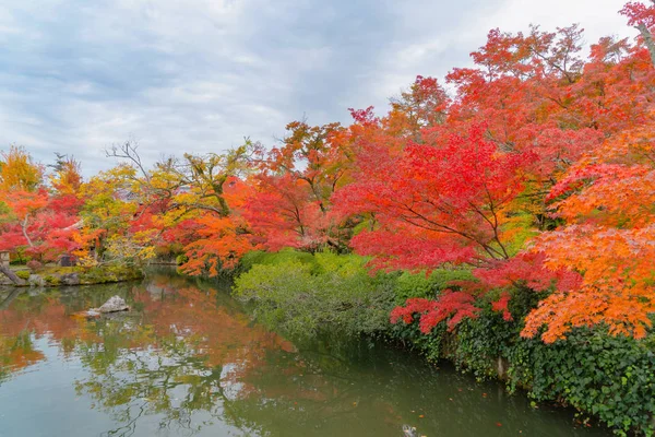 Red maple leaves or fall foliage in colorful autumn season near — 스톡 사진