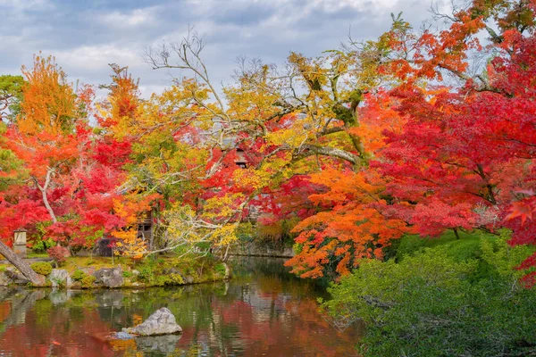 Hojas de arce rojo o follaje de otoño en colorida temporada de otoño cerca — Foto de Stock