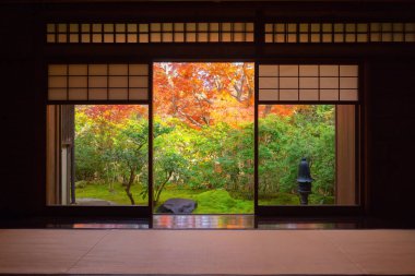 Renkli akçaağaç yapraklı Ruriko-in Tapınağı