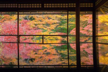 Renkli akçaağaç yapraklı Ruriko-in Tapınağı