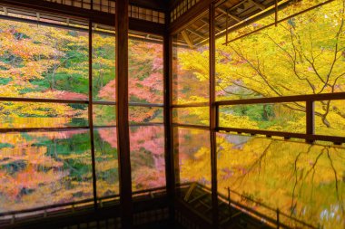 Renkli akçaağaç yapraklı Ruriko-in Tapınağı