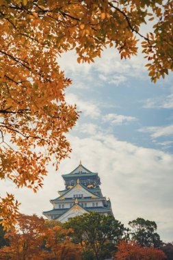 Renkli akçaağaç yapraklı ya da yapraklı Osaka Kalesi binası