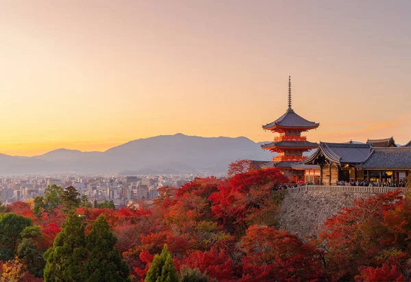 Kiyomizu Dera Pagoda Temple with red maple leaves or fall foliag — 스톡 사진