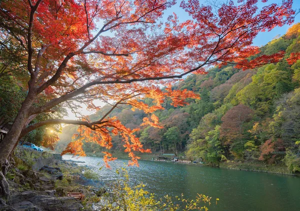 Red maple leaves or fall foliage in colorful autumn season near