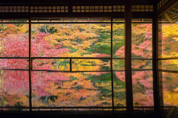 Ruriko-in Temple színes juharfalevél vagy őszi lombozat egy — Stock Fotó