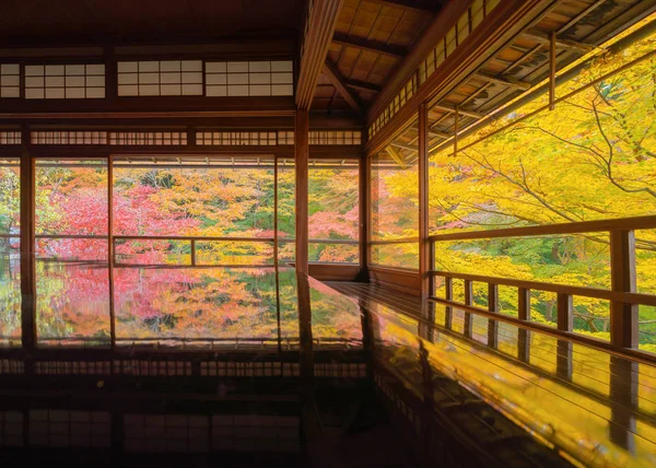 Temple Ruriko-in avec des feuilles d'érable colorées ou un feuillage d'automne dans un — Photo