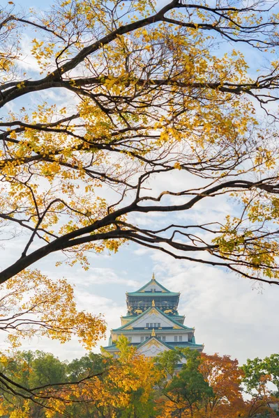 Osaka Castle building with colorful maple leaves or fall foliage — 스톡 사진