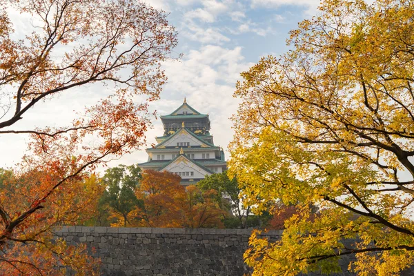 Osaka Castle building with colorful maple leaves or fall foliage — 스톡 사진