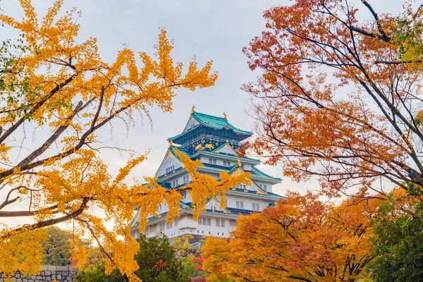 Osaka Castle building with colorful maple leaves or fall foliage — Stock Photo, Image