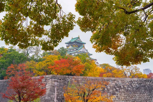 Osaka Castle building with colorful maple leaves or fall foliage — 스톡 사진