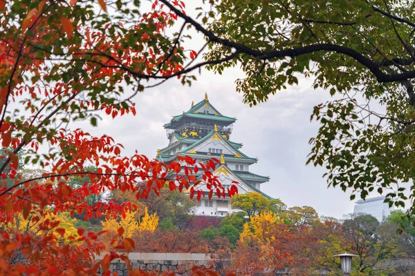 Osaka Castle building with colorful maple leaves or fall foliage